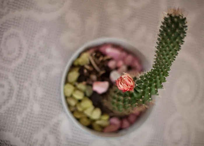 Gæstehus Rota Mostar